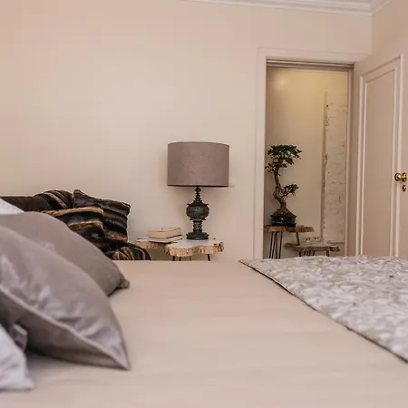 D. Carlos I Delux Apartment